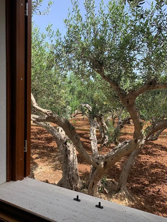La Villa Degli Ulivi - Apartments Castellammare del Golfo
